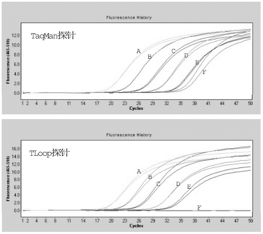 Fluorescent probe for fluorescent quantitative PCR reactions