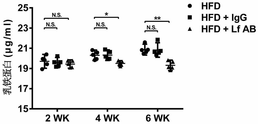 Application of the substance for detecting or regulating the expression level of lactoferrin in the preparation of drugs or kits for preventing and/or treating cardiovascular and cerebrovascular diseases