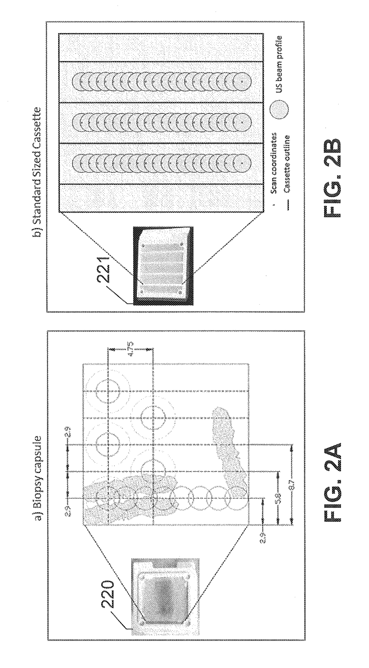 Diffusion monitoring protocol for optimized tissue fixation