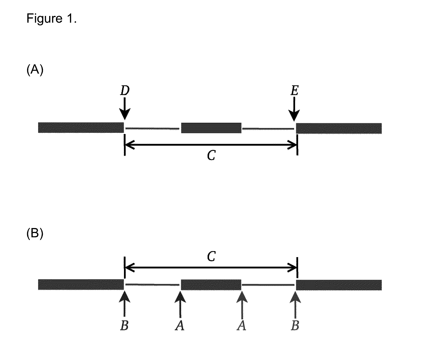 Method of Validating mRNA Splciing Mutations in Complete Transcriptomes