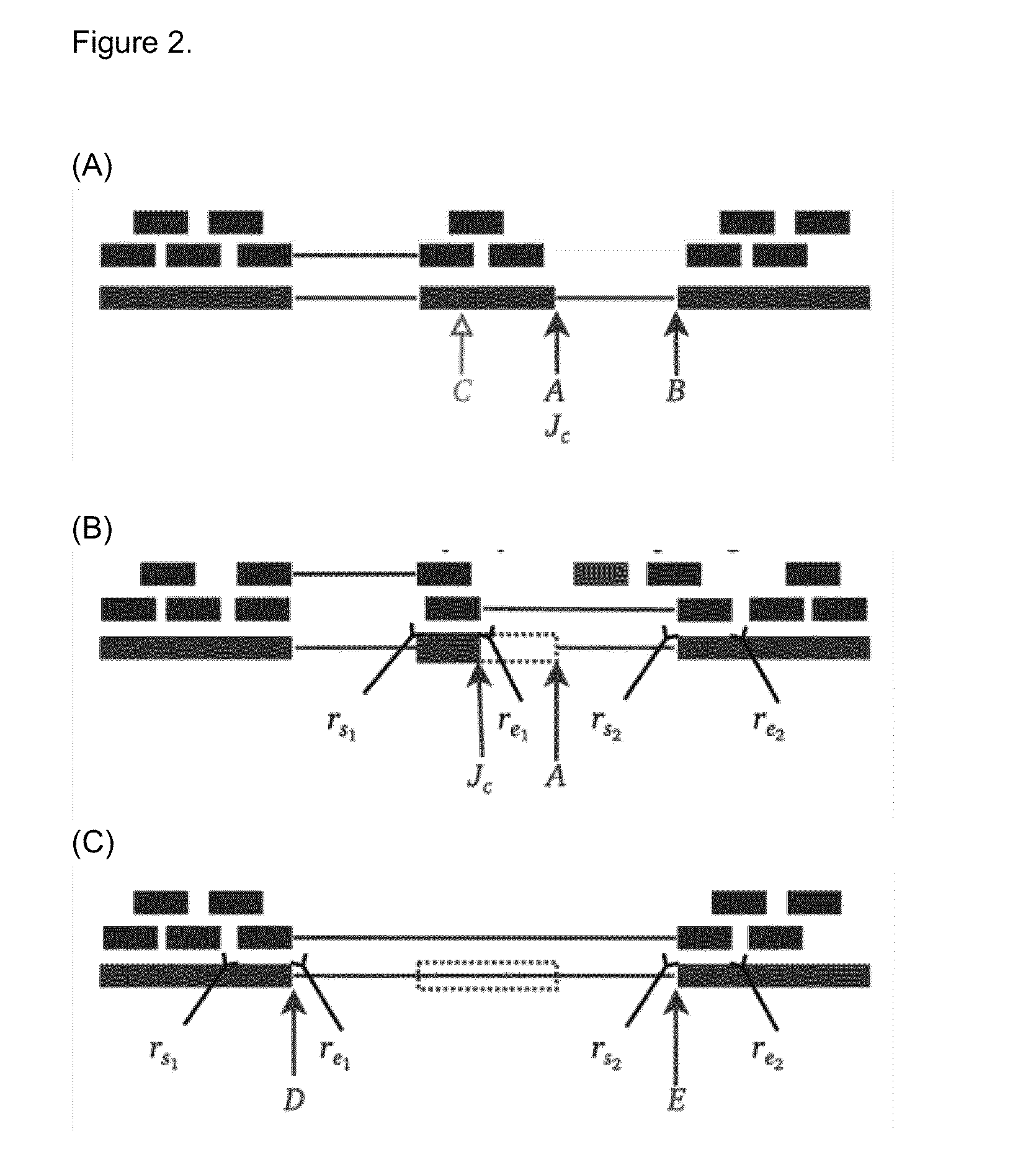 Method of Validating mRNA Splciing Mutations in Complete Transcriptomes