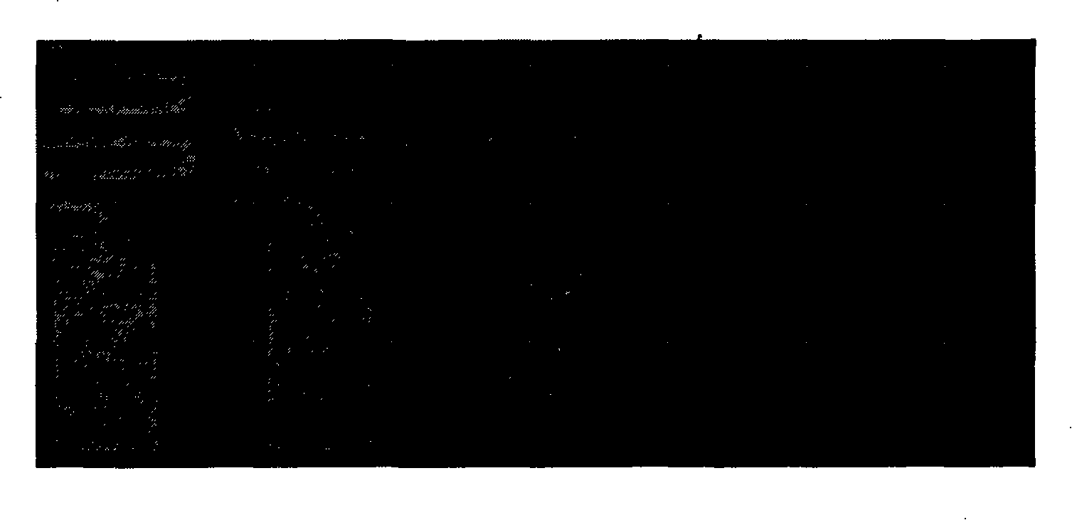 Micro-fluid concentration gradient cell culture chip and its preparation method and application