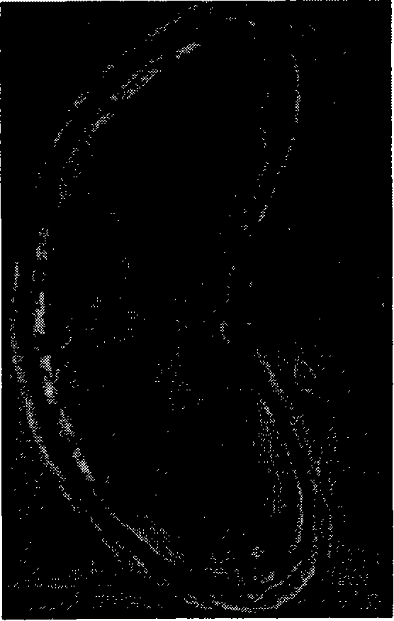 Micro-fluid concentration gradient cell culture chip and its preparation method and application