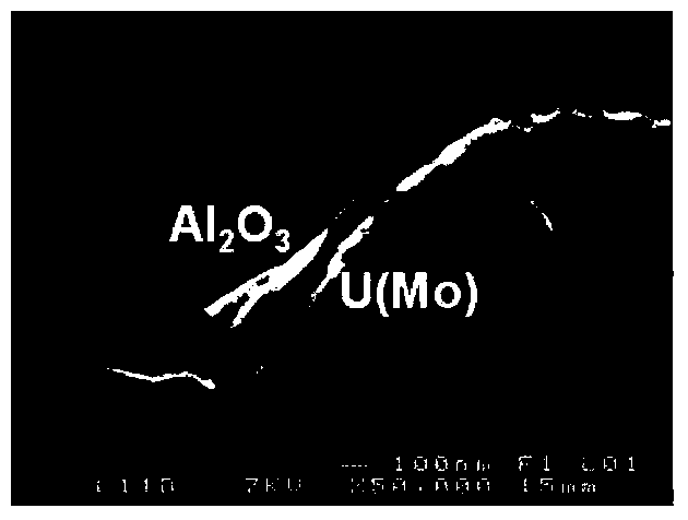 Powder of an alloy based on uranium and molybdenum in gamma-metastable phase, composition of powders comprising this powder, and uses of said powder and composition