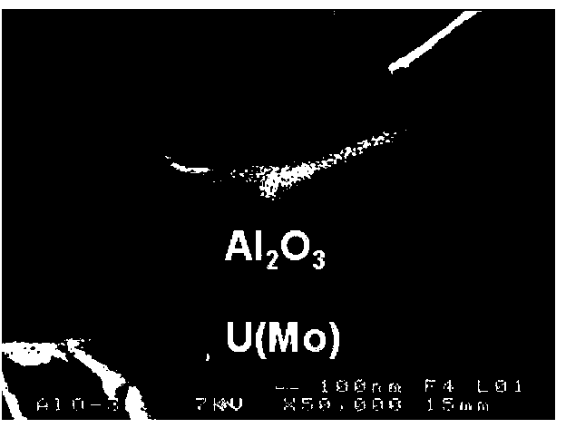 Powder of an alloy based on uranium and molybdenum in gamma-metastable phase, composition of powders comprising this powder, and uses of said powder and composition