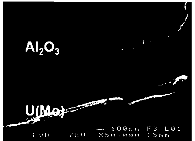 Powder of an alloy based on uranium and molybdenum in gamma-metastable phase, composition of powders comprising this powder, and uses of said powder and composition