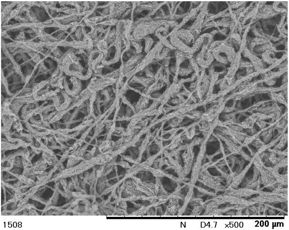 Electroconductive porous body, solid polymer fuel cell, and method for manufacturing electroconductive porous body