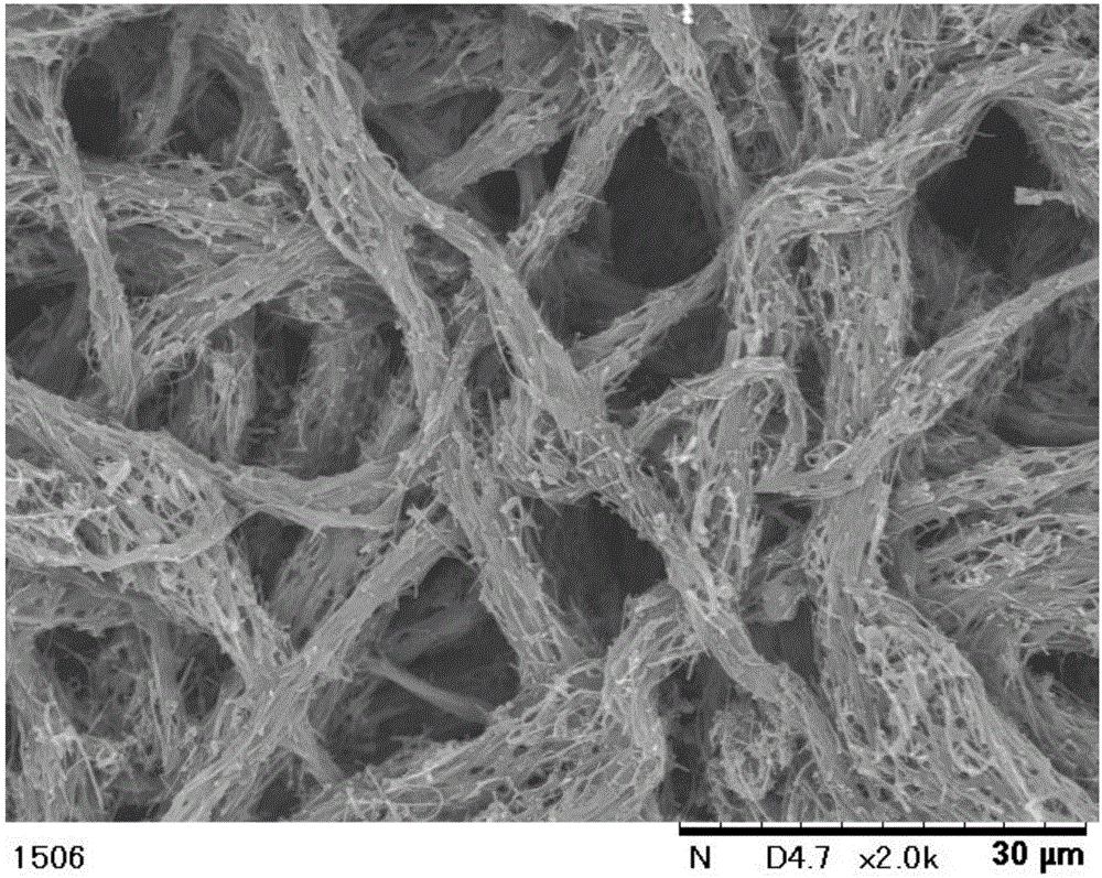 Electroconductive porous body, solid polymer fuel cell, and method for manufacturing electroconductive porous body