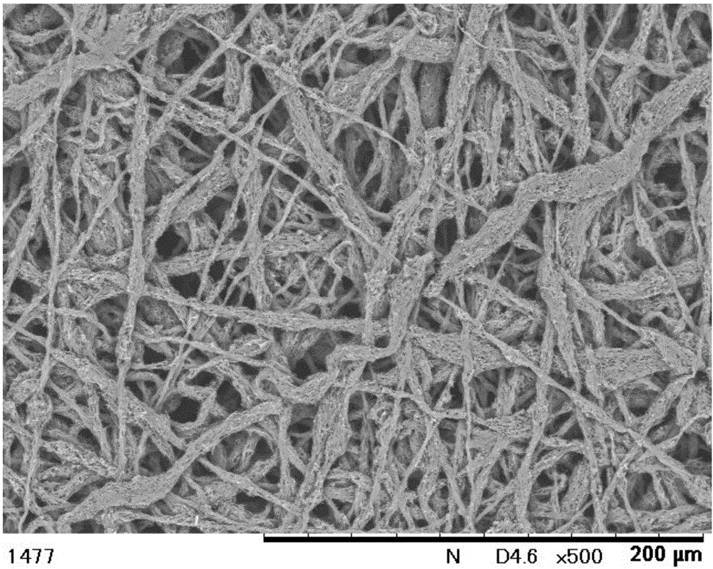 Electroconductive porous body, solid polymer fuel cell, and method for manufacturing electroconductive porous body