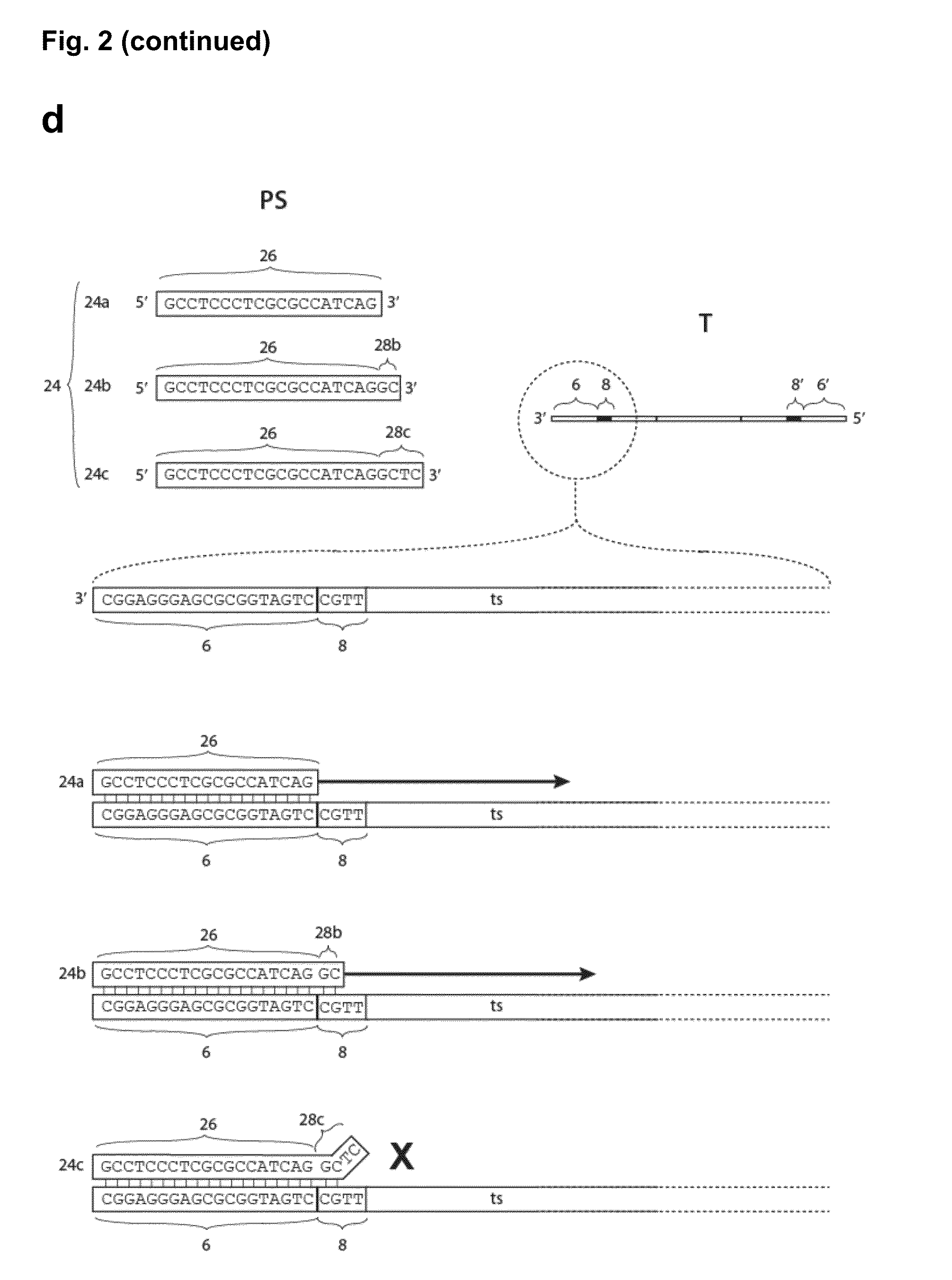 Method for the simultaneous amplification of a plurality of different nucleic acid target sequences