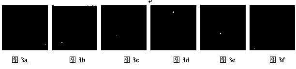 Fabric defect detection method based on local statistical characteristics and overall significance analysis