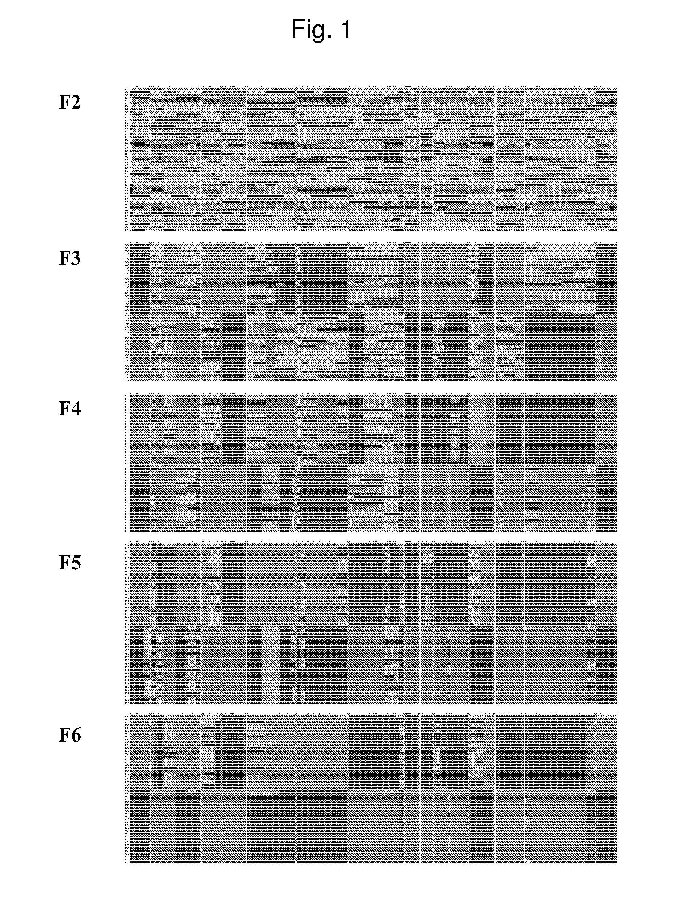 Reverse synthesis of breeding lines