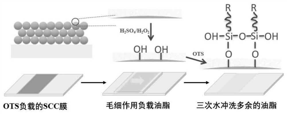 Light interference lipid layer composite material as well as construction method and application thereof