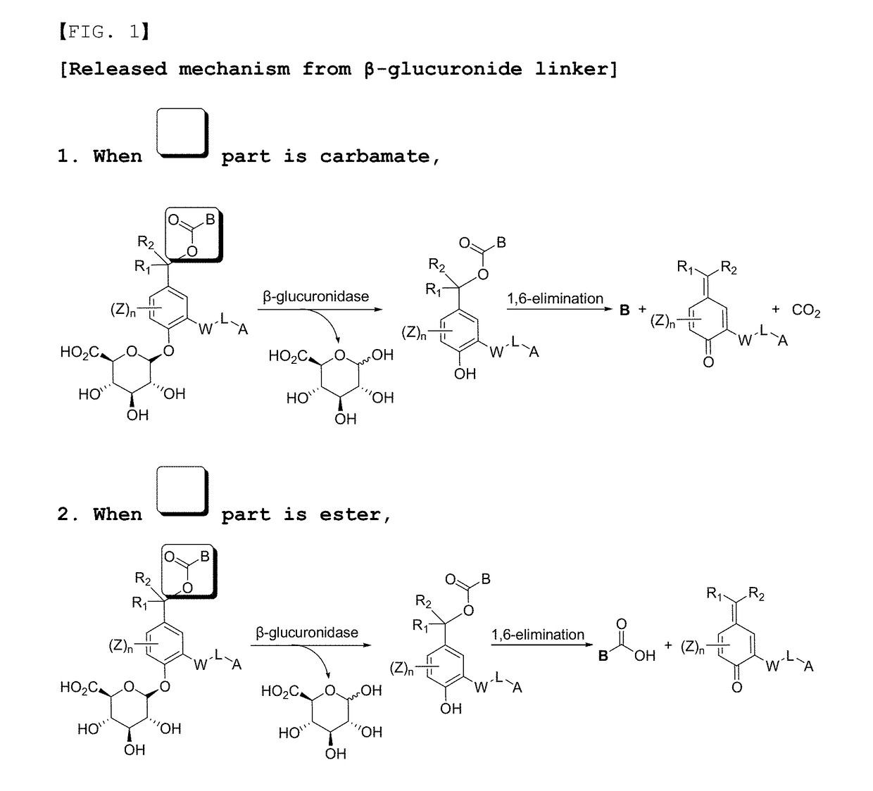 Compounds comprising self-immolative group