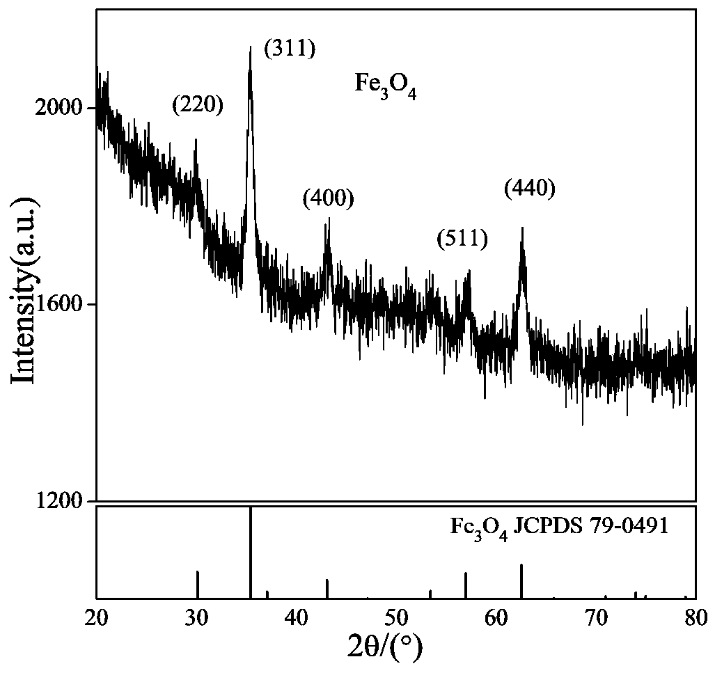 Synthesis device and synthesis method of iron oxide magnetic nano material