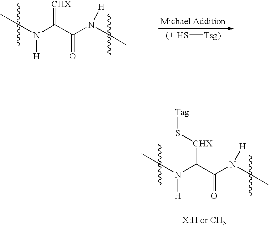 Selective labeling agent for phosphoproteome analysis and phosphorylated site analysis