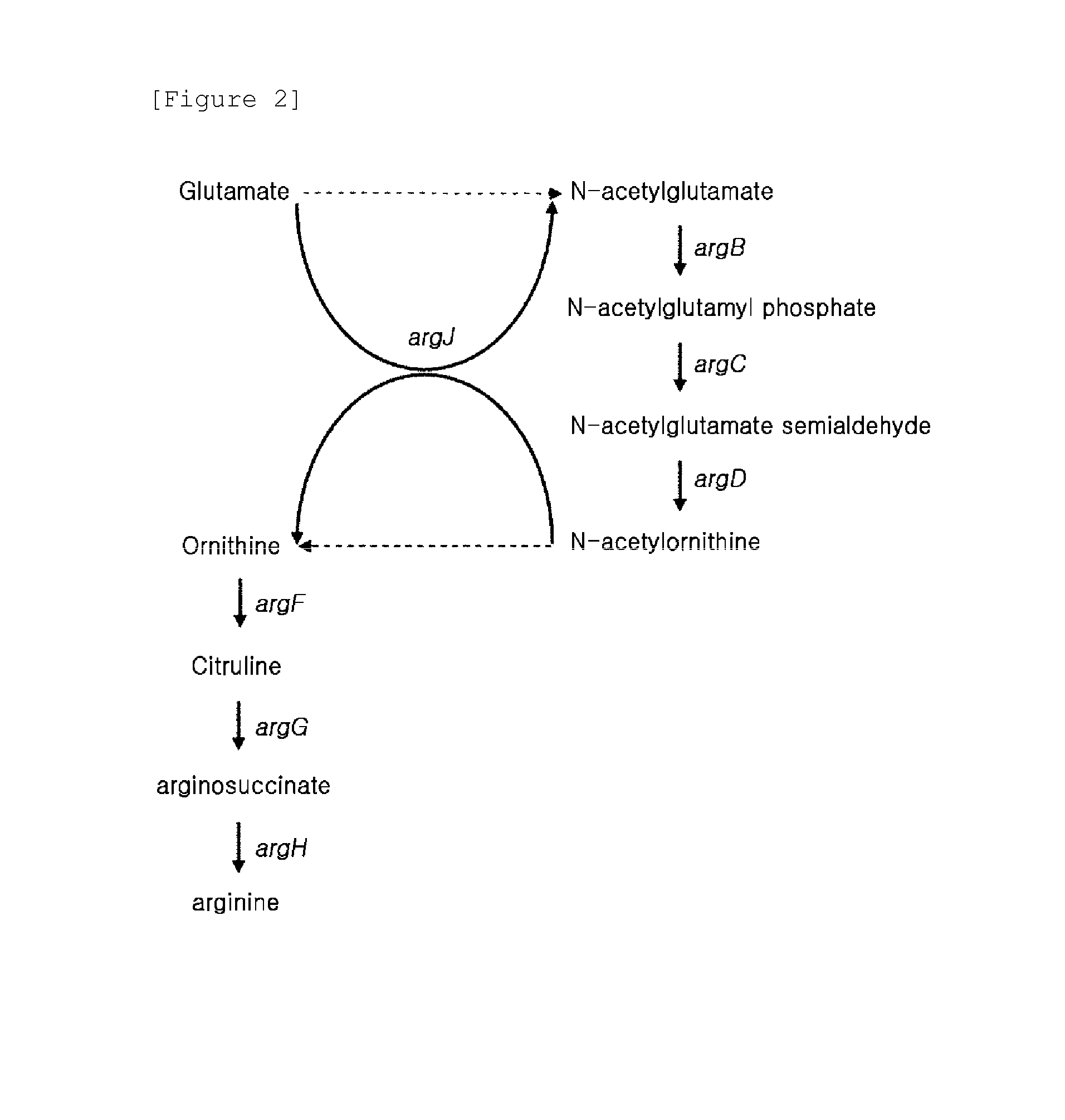 Microorganisms for producing putrescine and method for producing putrescine using same