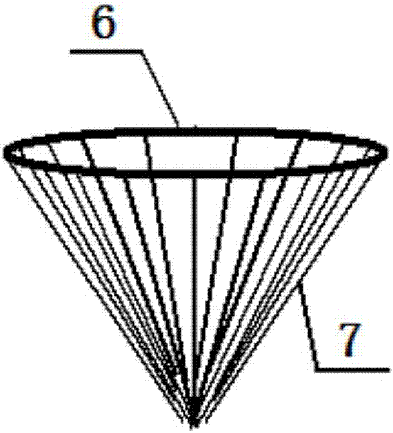 Time-period type rhynchophorus ferrugineus trap