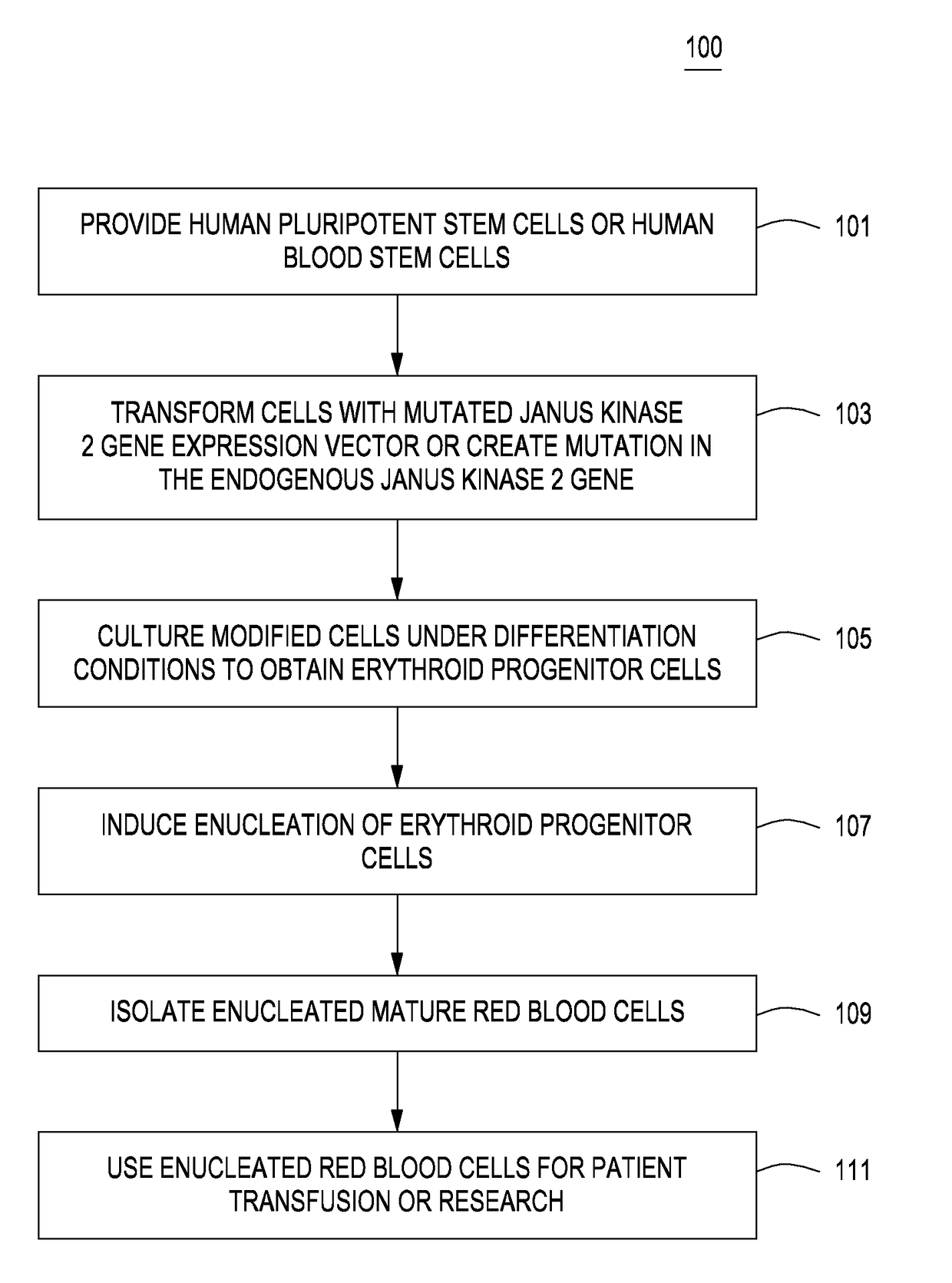 Methods for producing modified red blood cell compositions, compositions and uses thereof