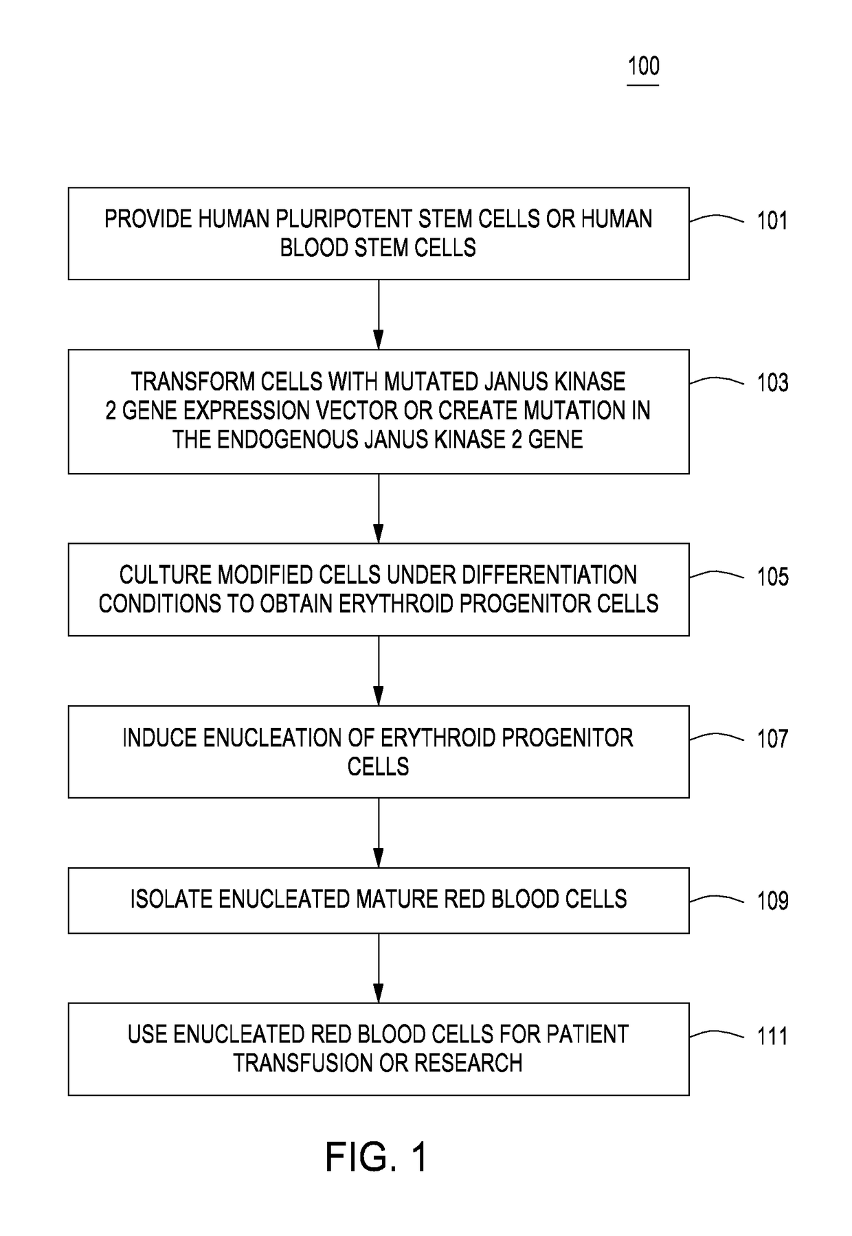 Methods for producing modified red blood cell compositions, compositions and uses thereof