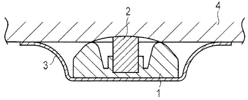 Biological cell therapeutic apparatus