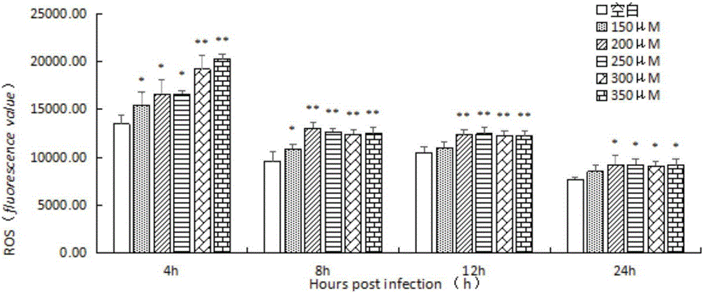 Method for establishing hydrogen peroxide induced oxidation stress model of mouse monocyte macrophage system