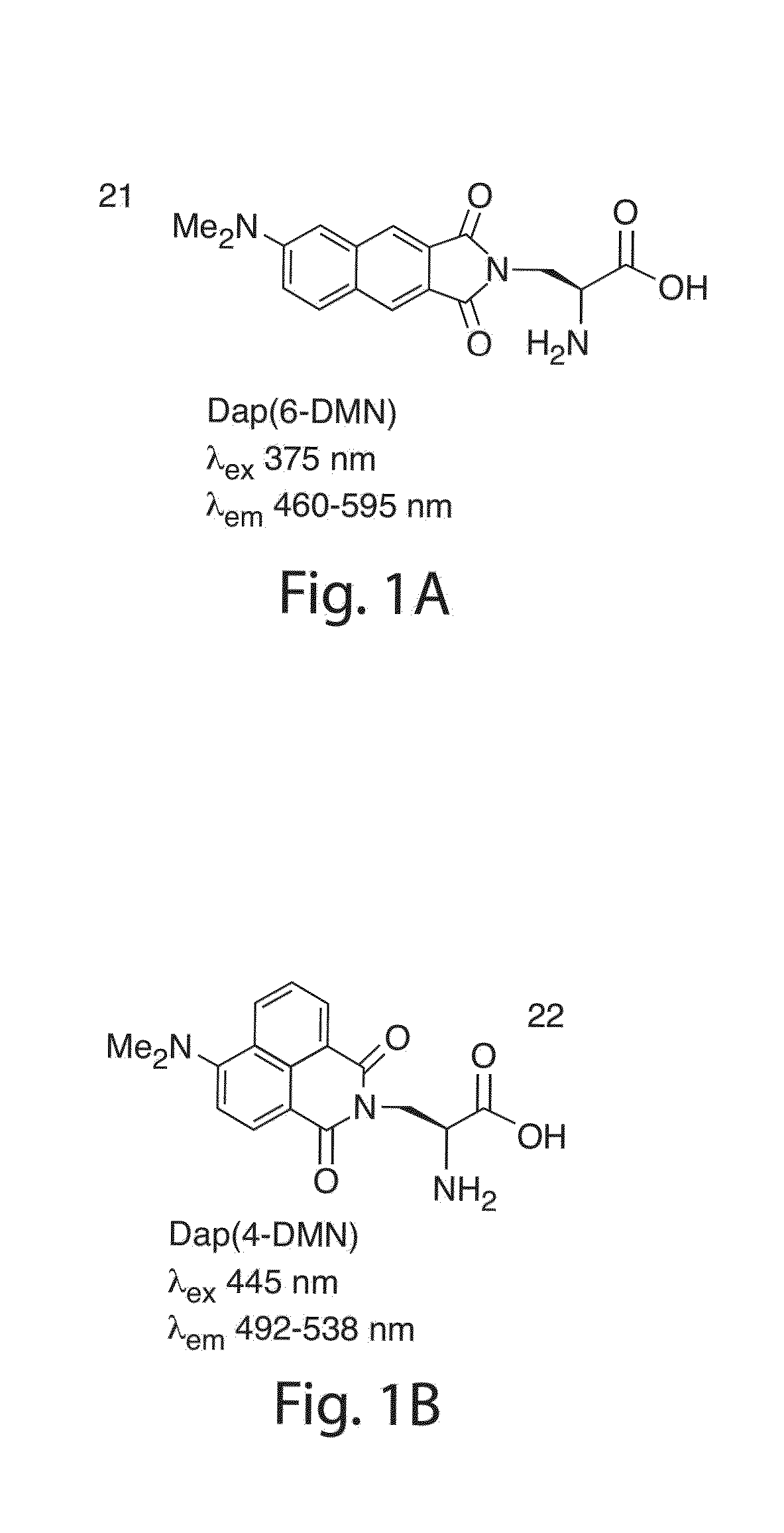 Environmentally sensitive fluorophores