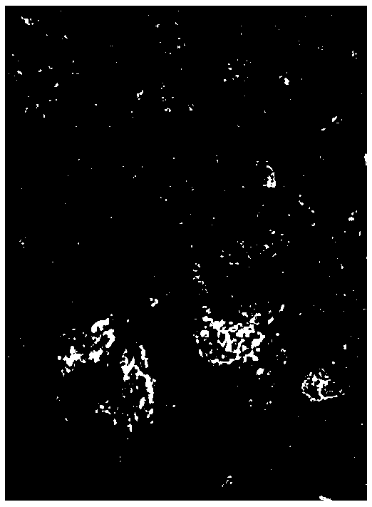 Automatic soil and stone material grading detection method based on image optimization classification