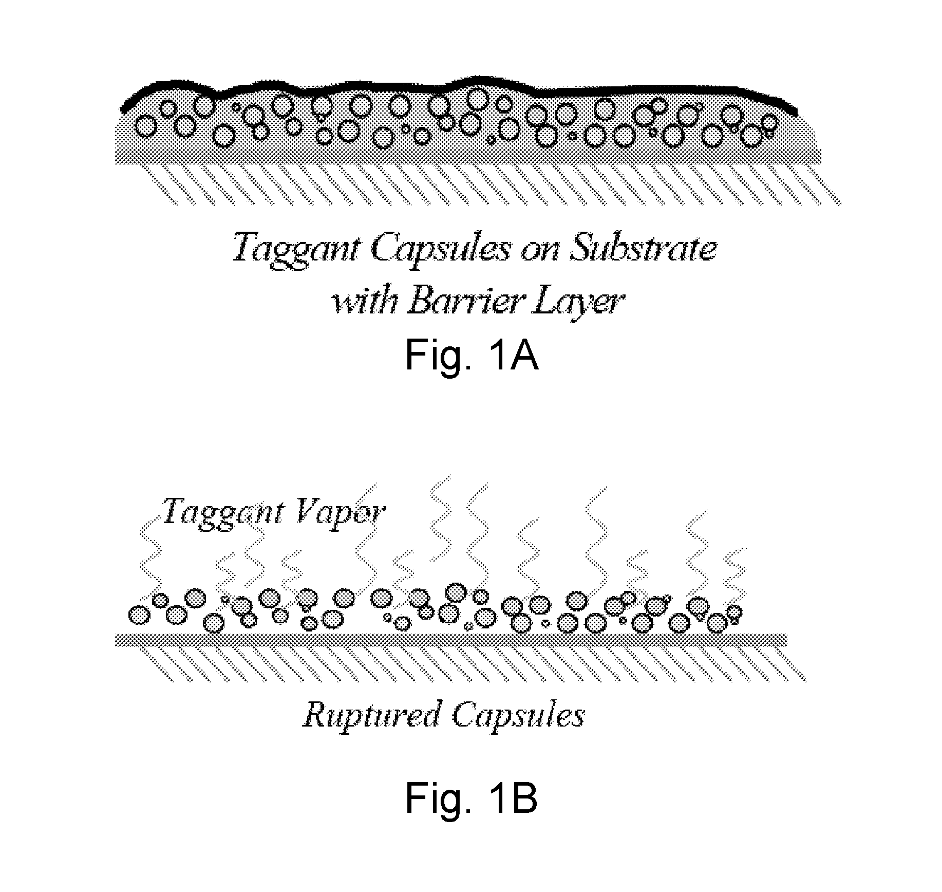 Methods of delivery of encapsulated perfluorocarbon taggants