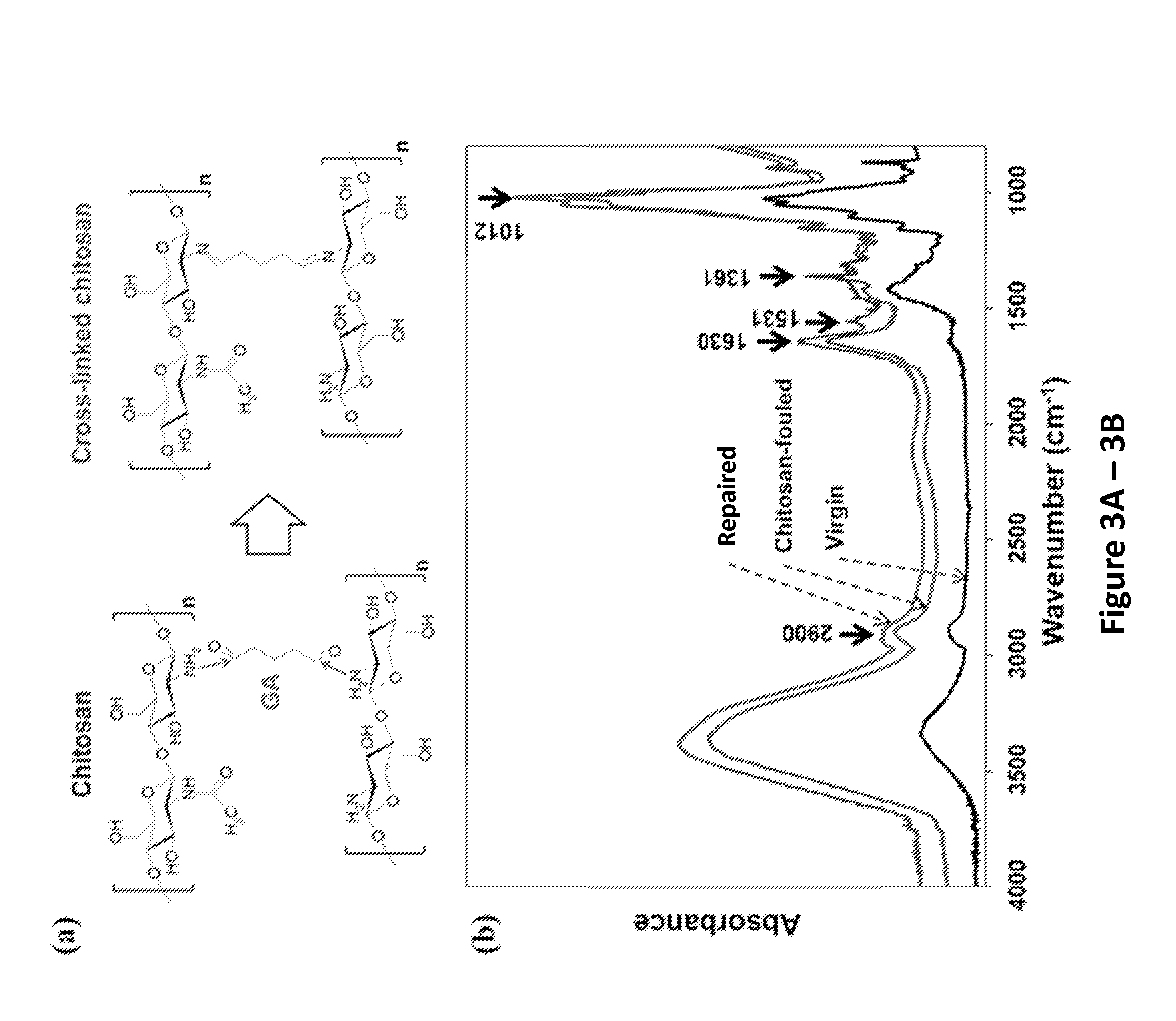 In Situ Repairing Technique for Compromised Polymeric Membranes