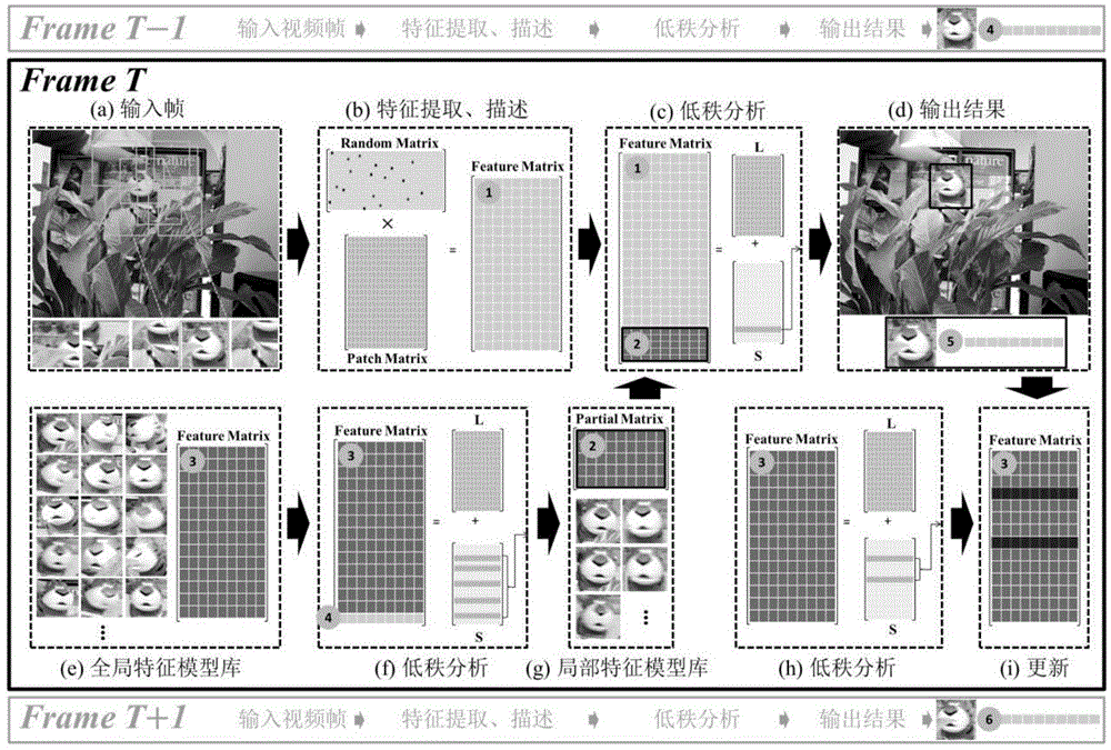 Real-time object tracking method based on video inter-frame low-rank associated information consistency