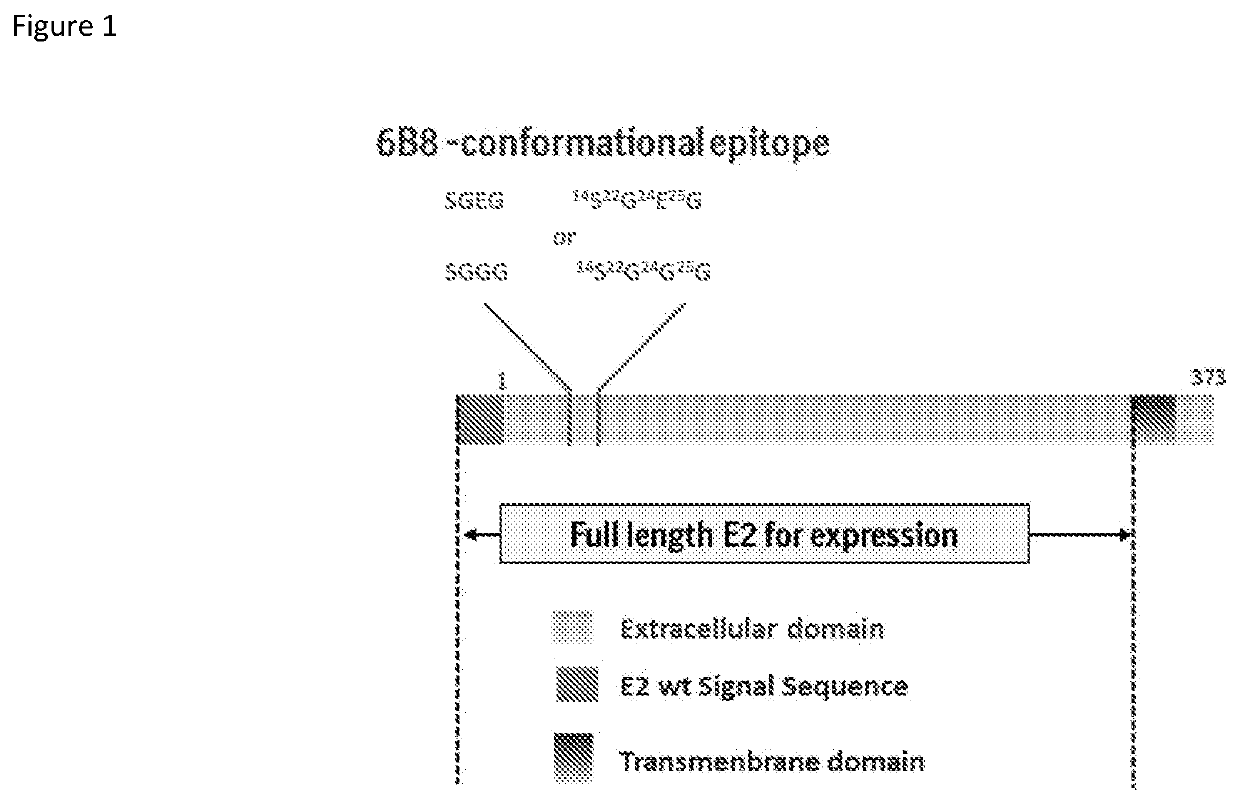 Csfv subunit vaccine