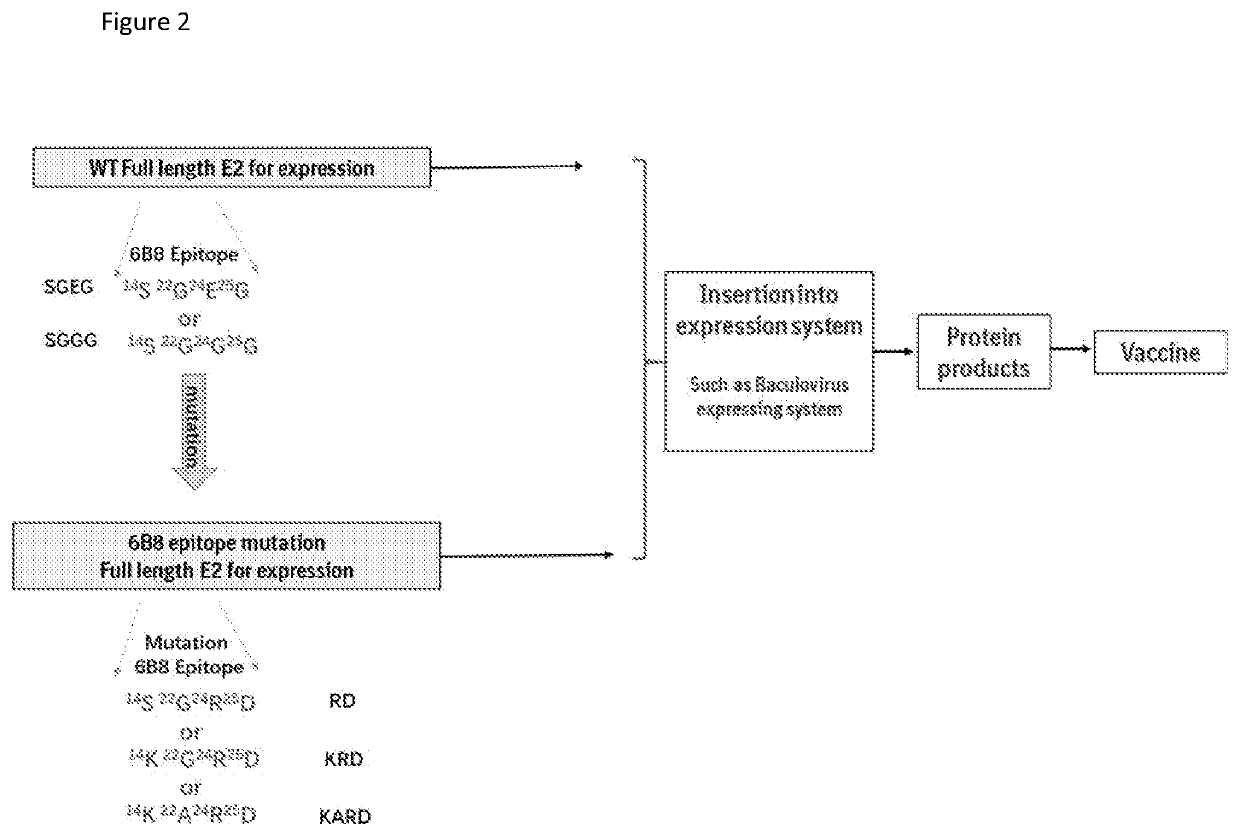 Csfv subunit vaccine