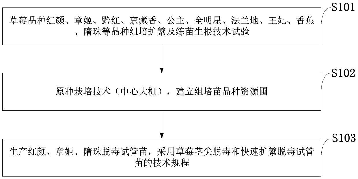 Field cultivation method for strawberries