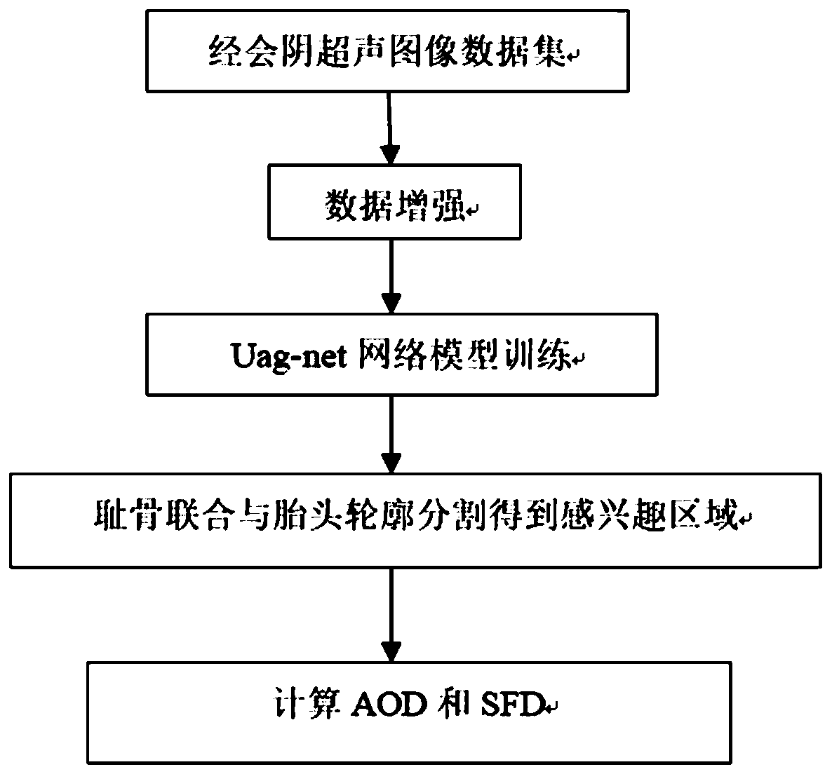 Automatic measuring method and device of intrapartum cephalopelvic relationship based on ultrasonoscopy