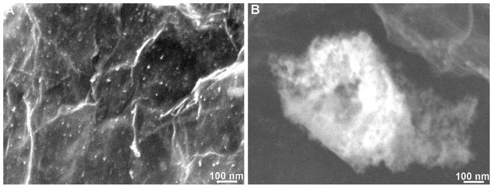 Graphene supported palladium nanoparticle composite material as well as preparation method and application thereof