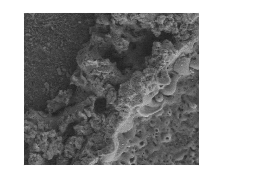 Method for preparing aluminum alloy element surface coating and system thereof