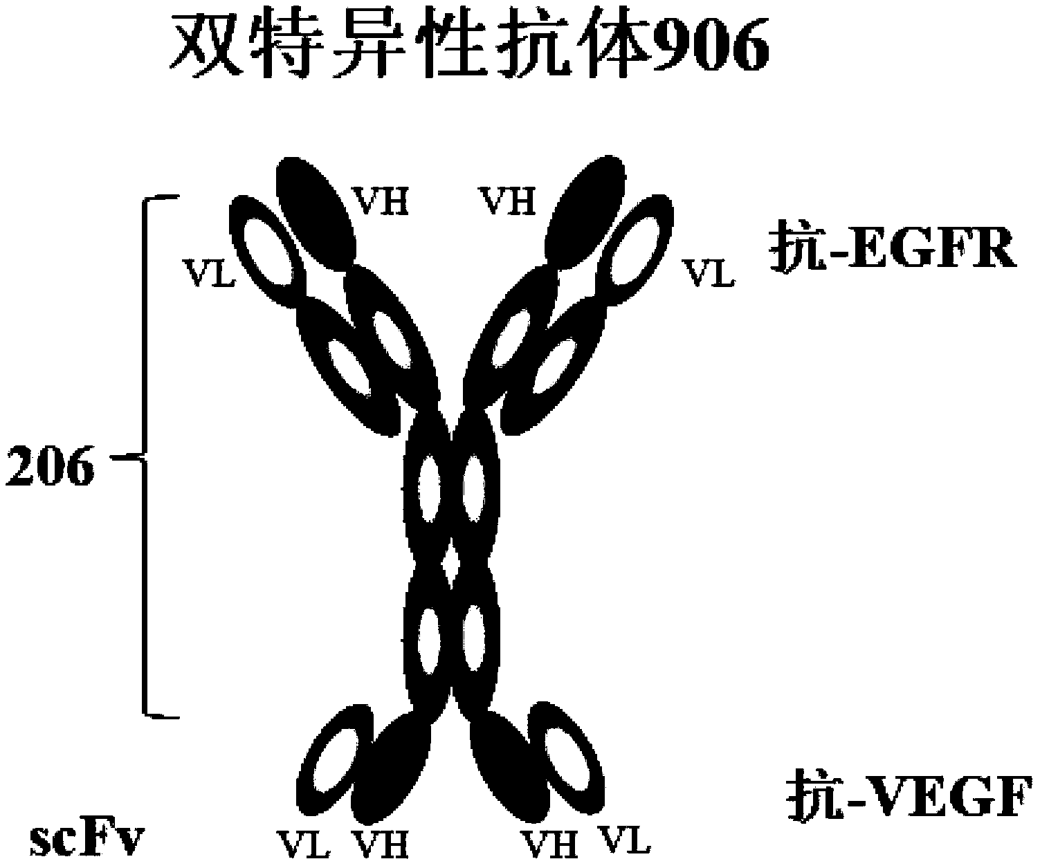 Bispecific antibody