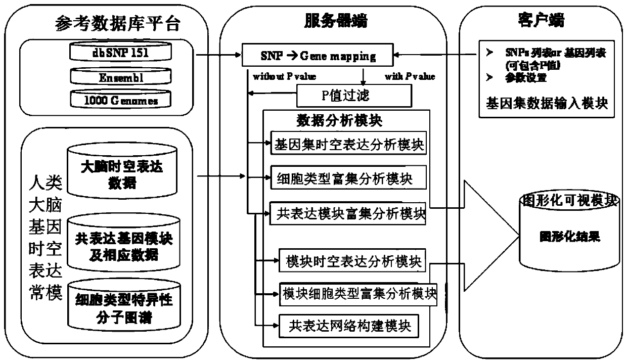 Online analysis system for spatiotemporal expression patterns of human brain genes and method thereof