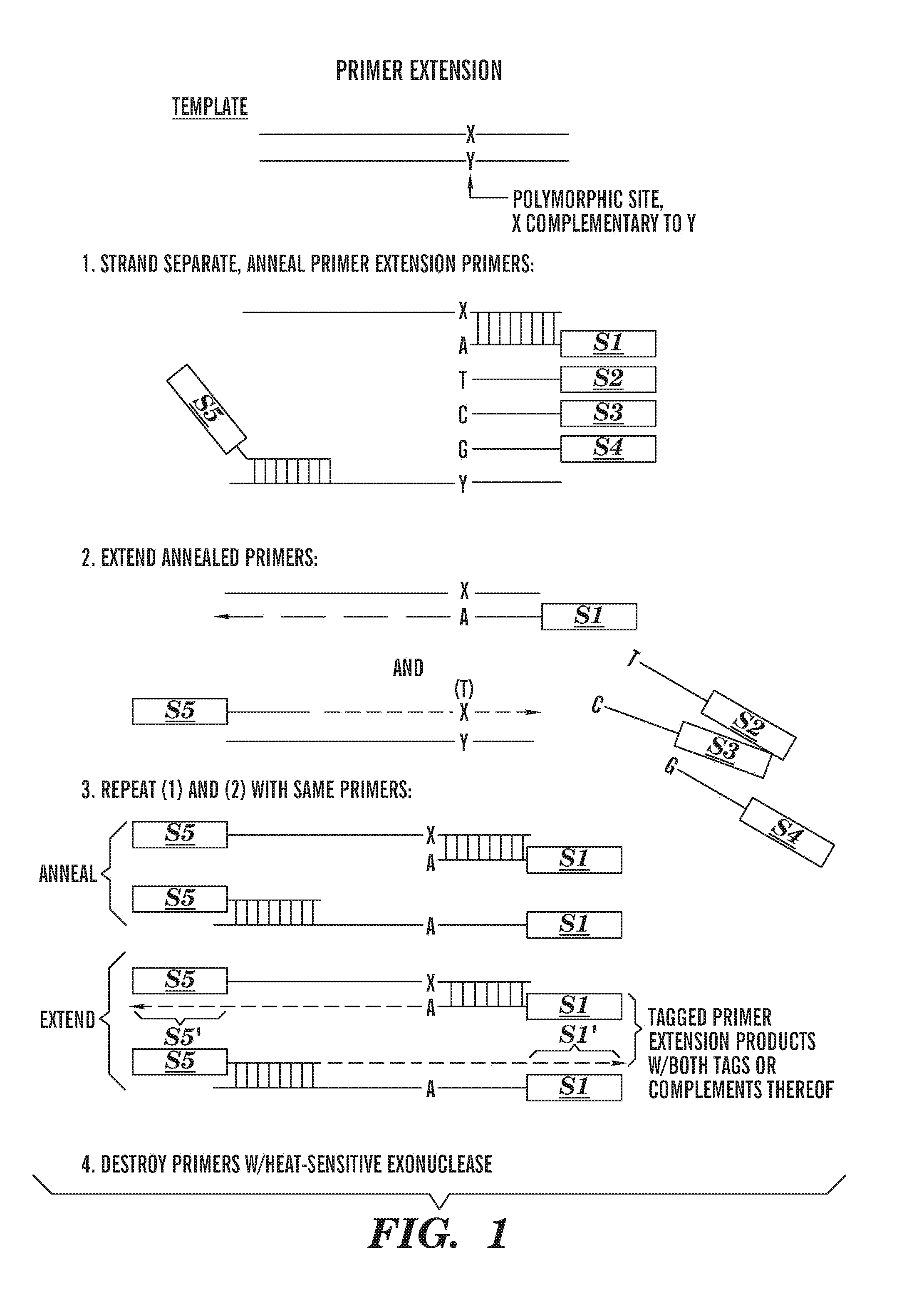 Methods of detecting sequence differences