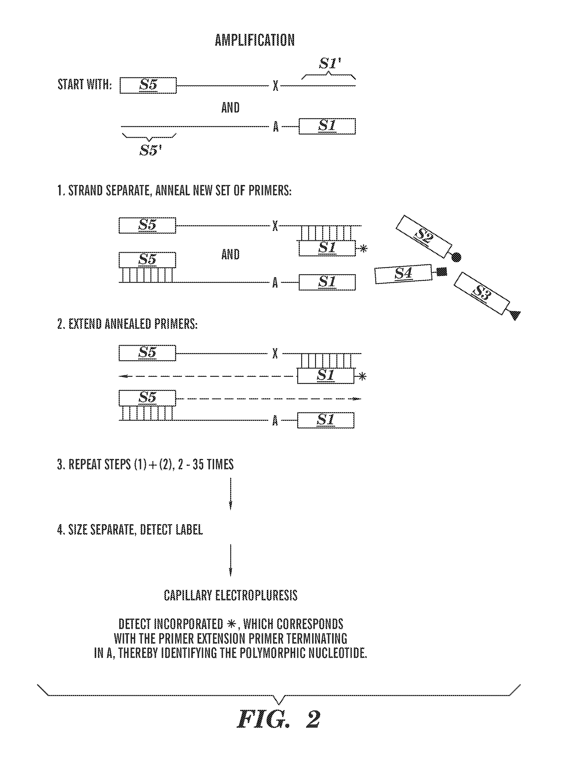 Methods of detecting sequence differences