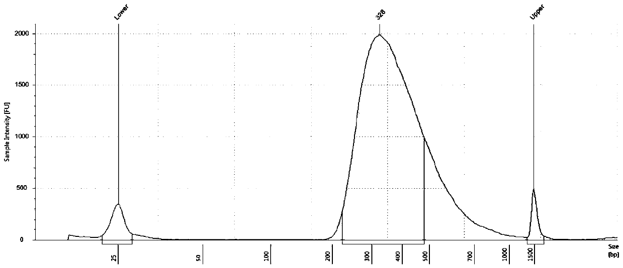 DNA library for detecting and diagnosing pathogenic genes of multiple cafe-au-lait macules related diseases and application thereof