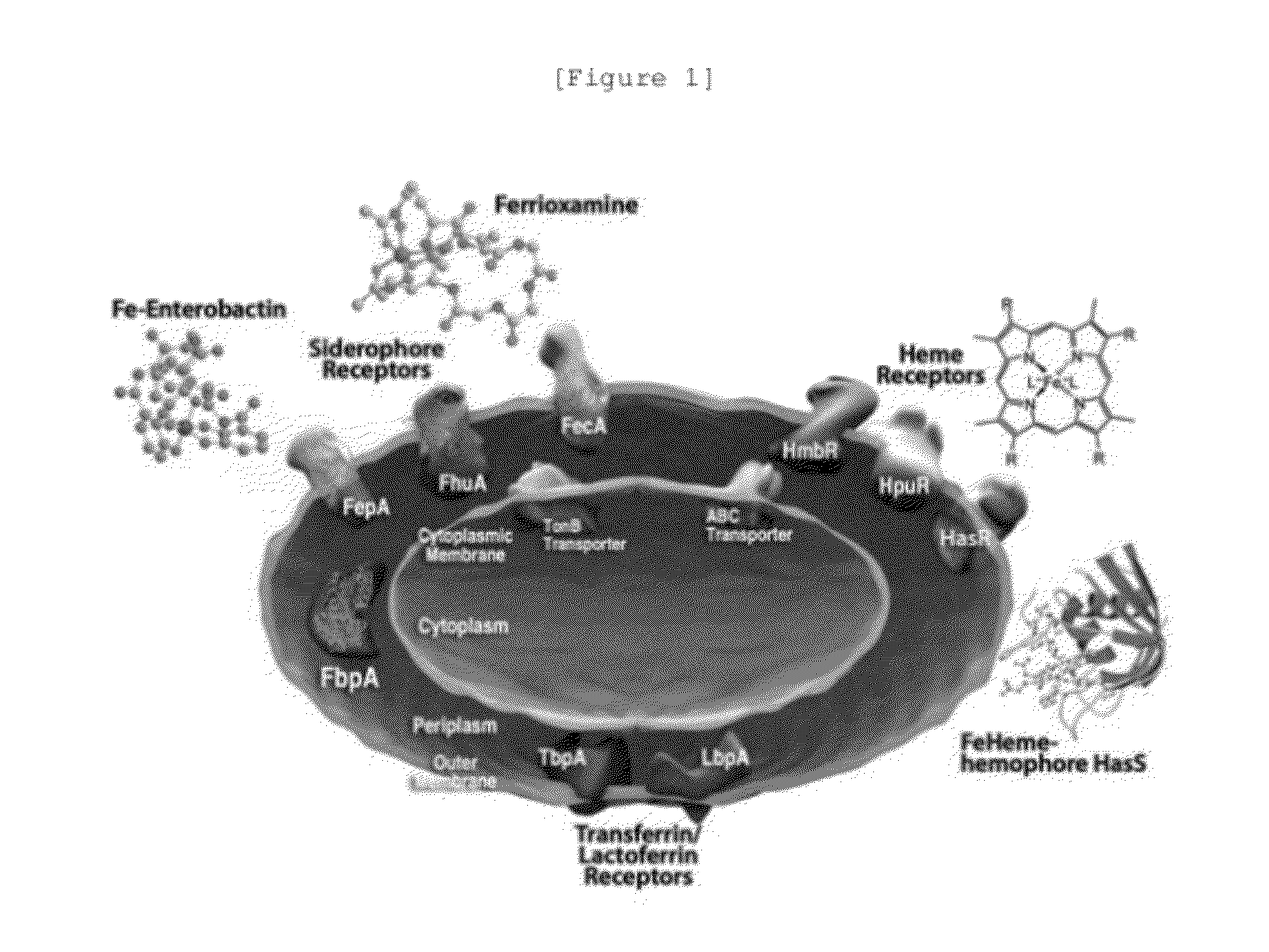 Novel cephalosporin derivatives and pharmaceutical compositions thereof