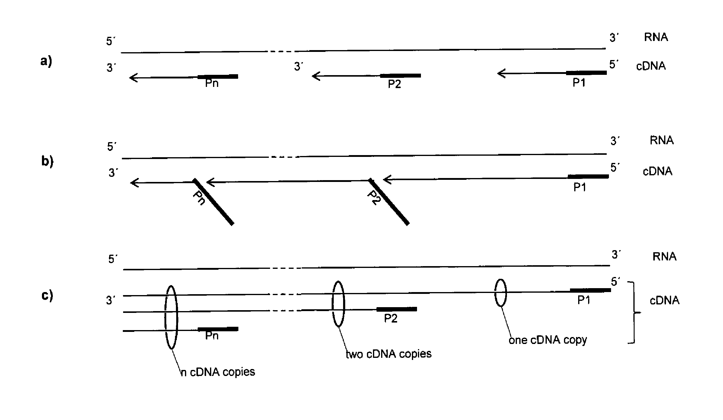 Nucleic acid transcription method