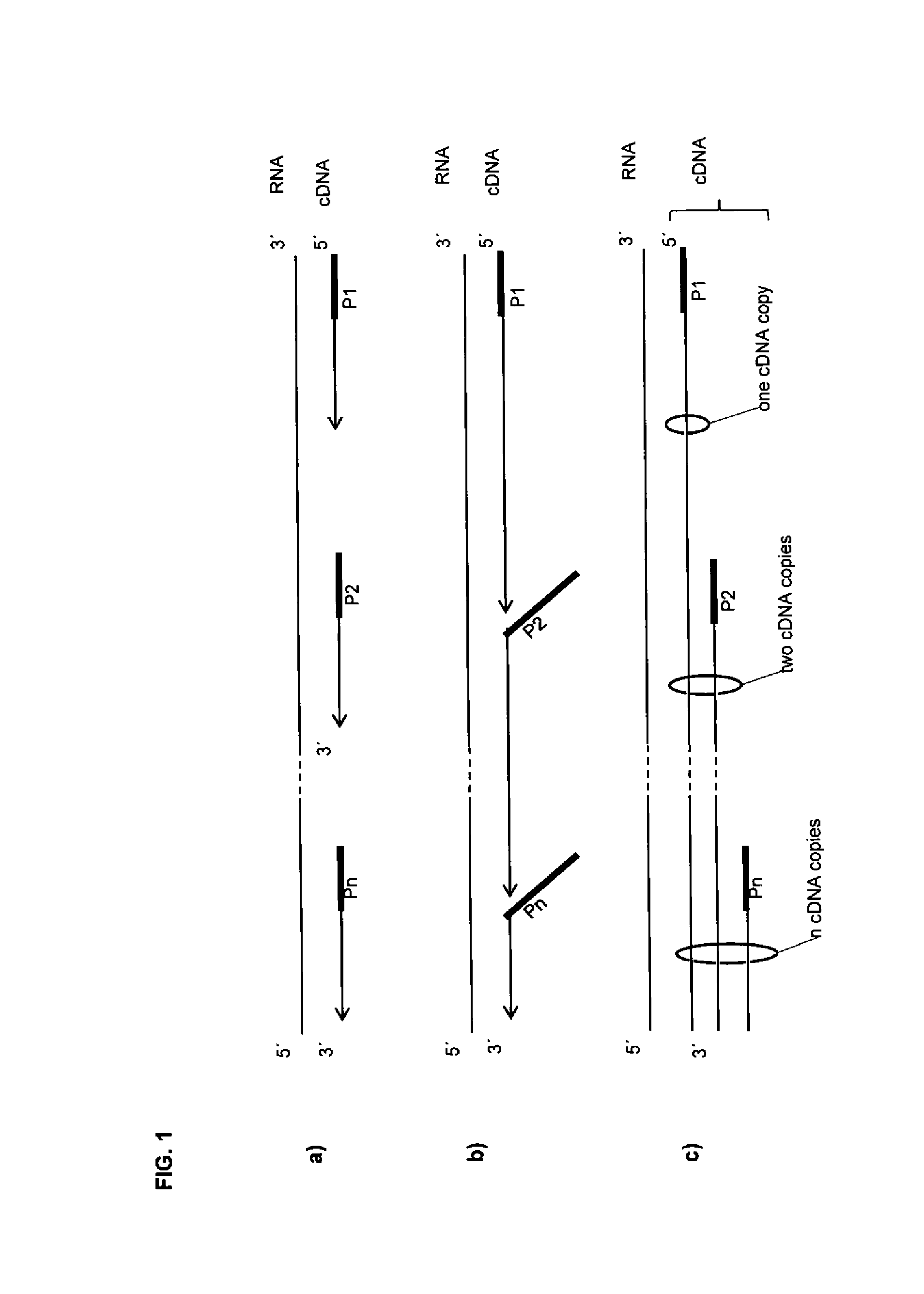 Nucleic acid transcription method