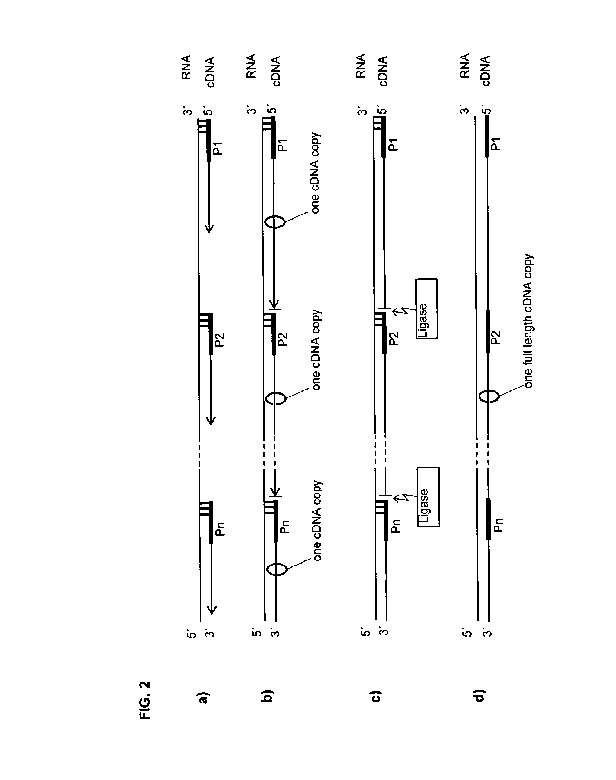 Nucleic acid transcription method