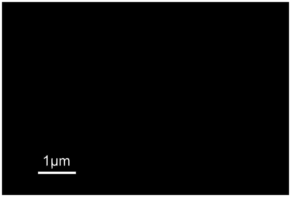 A kind of preparation method of stalactite-like macroporous activated carbon