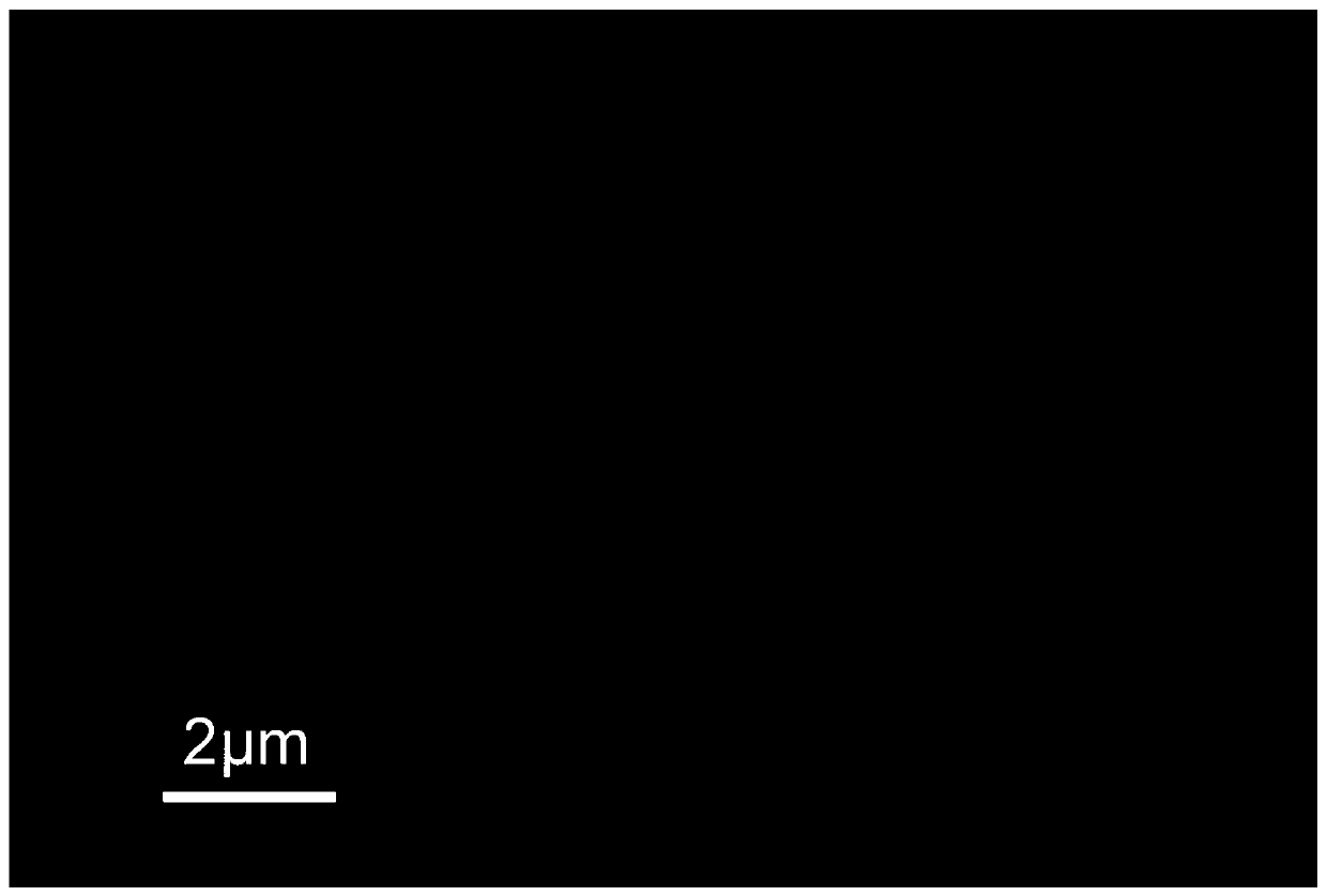 A kind of preparation method of stalactite-like macroporous activated carbon