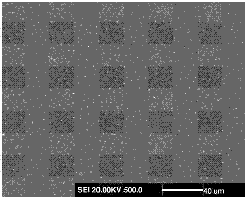 Method for preparing iron-based amorphous and nanocrystalline coating