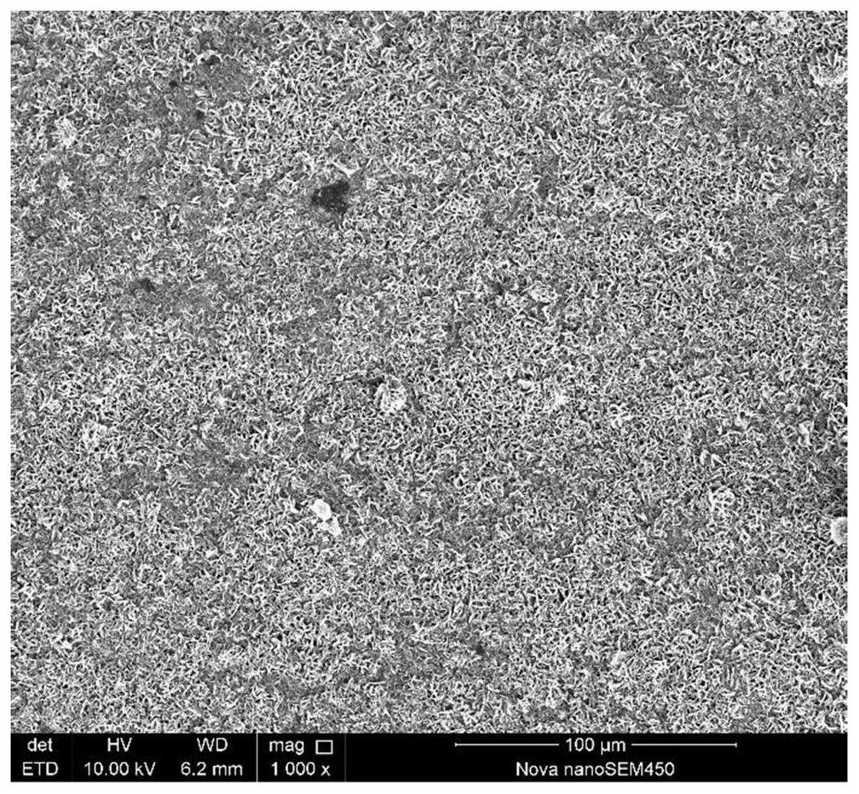 Dental adhesive composition as well as preparation method and application thereof